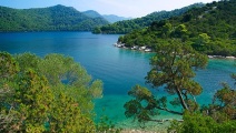 Mljet